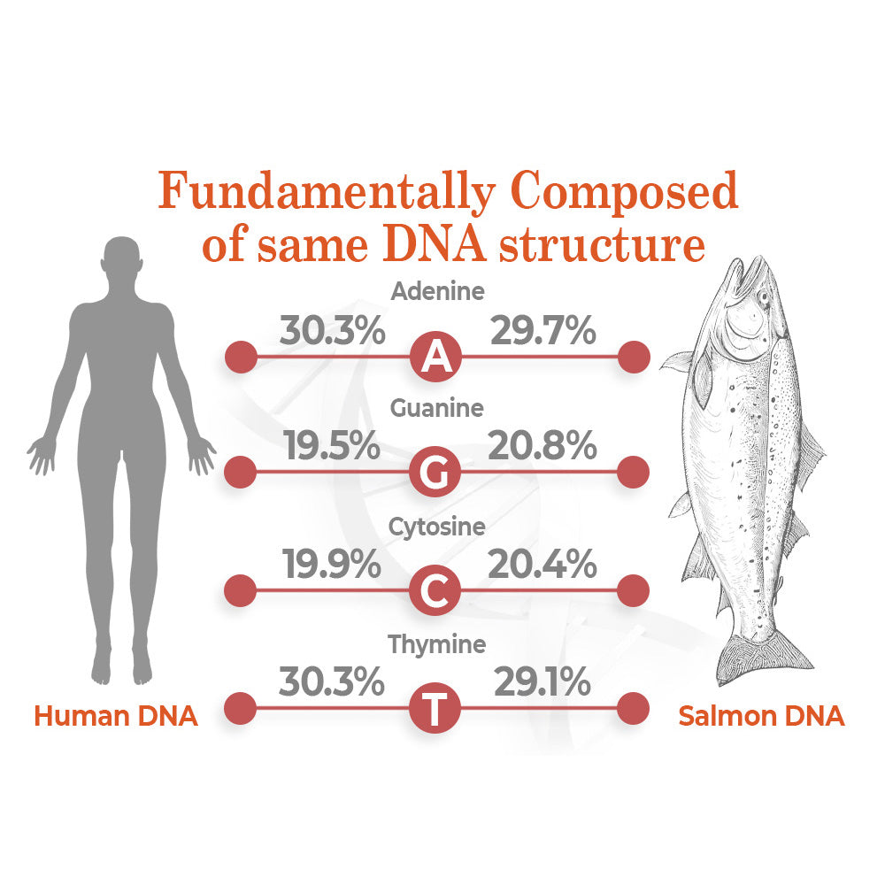 flysmus™ BioRegen PDRN Lachs-DNA-Ampulle