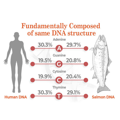 flysmus™ BioRegen PDRN Lachs-DNA-Ampulle